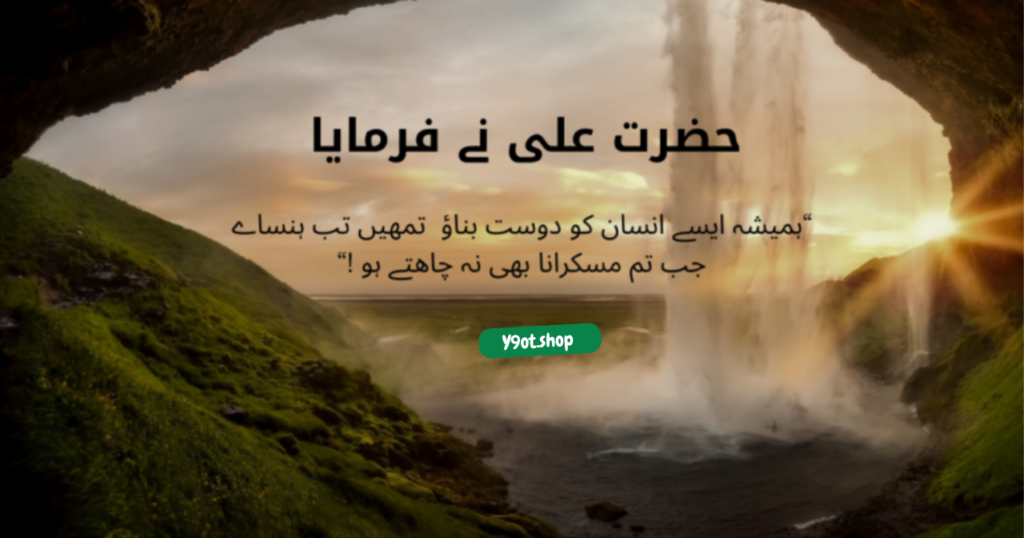 @ Y9ot.shop 2024 12 04T013007.342