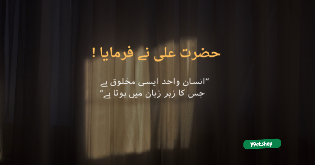 @ Y9ot.shop 2024 12 04T013158.280