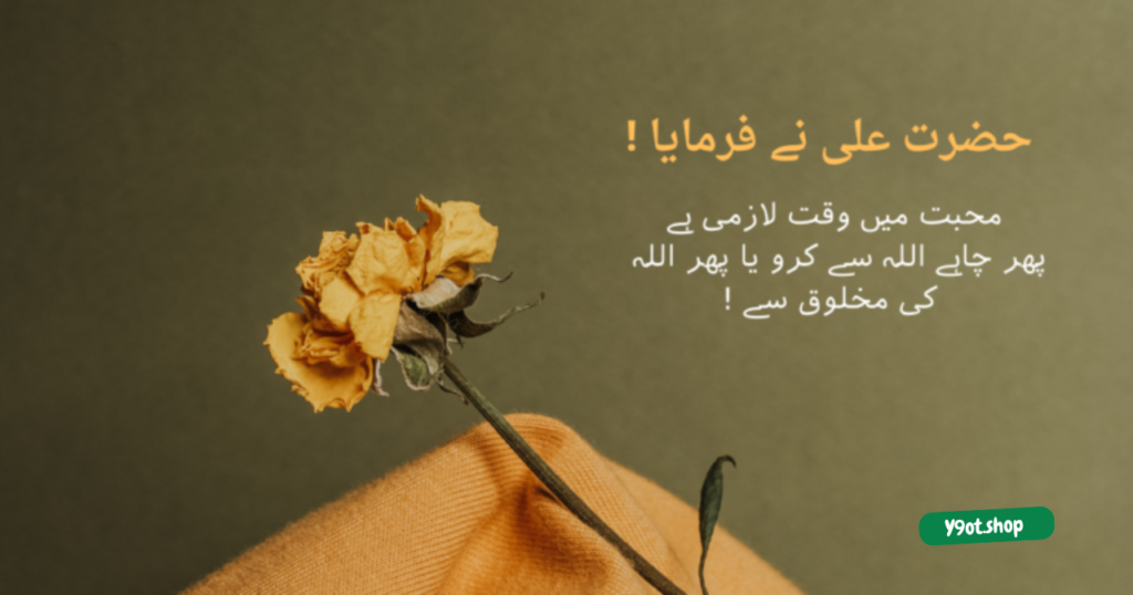 @ Y9ot.shop 2024 12 04T013255.136
